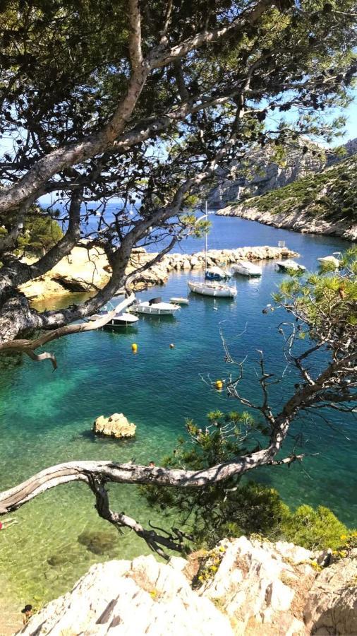 Le Sept Charmant Studio Aux Portes Des Calanques Cassis Exteriér fotografie
